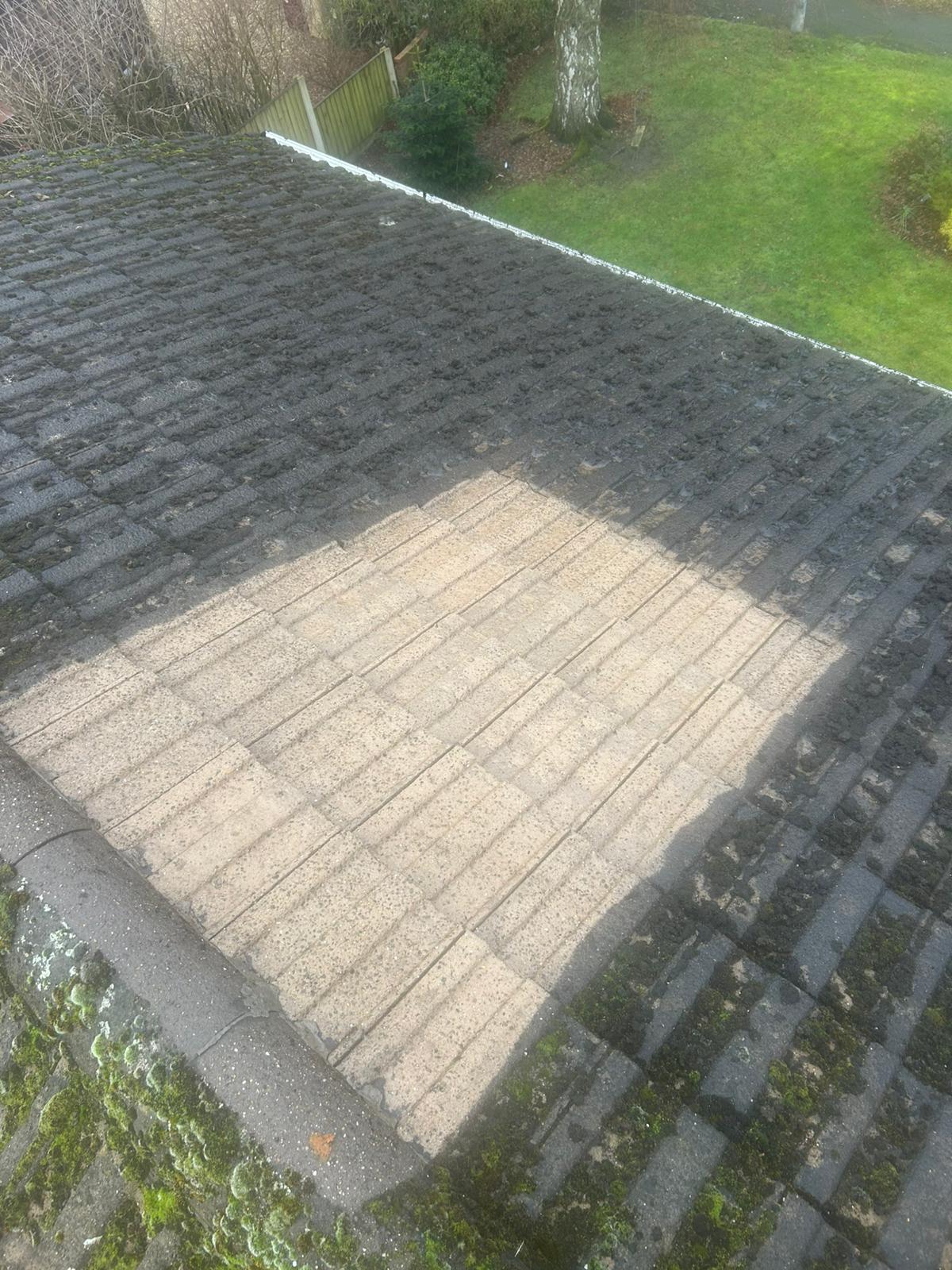 roof in need of cleaning