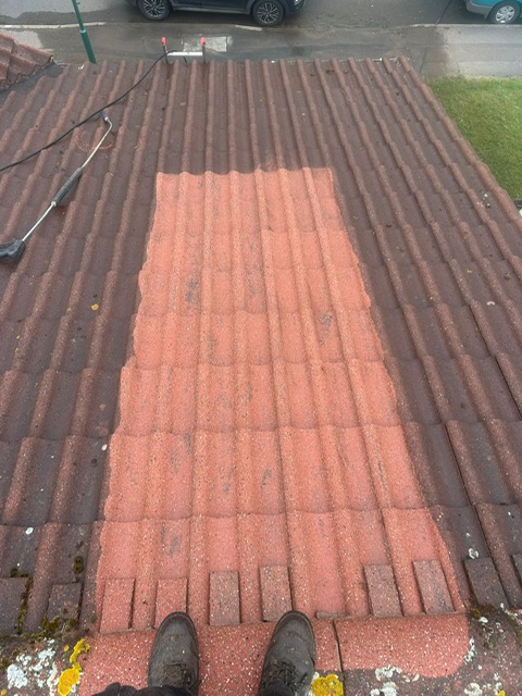 MossPro team working on a roof in Kildare