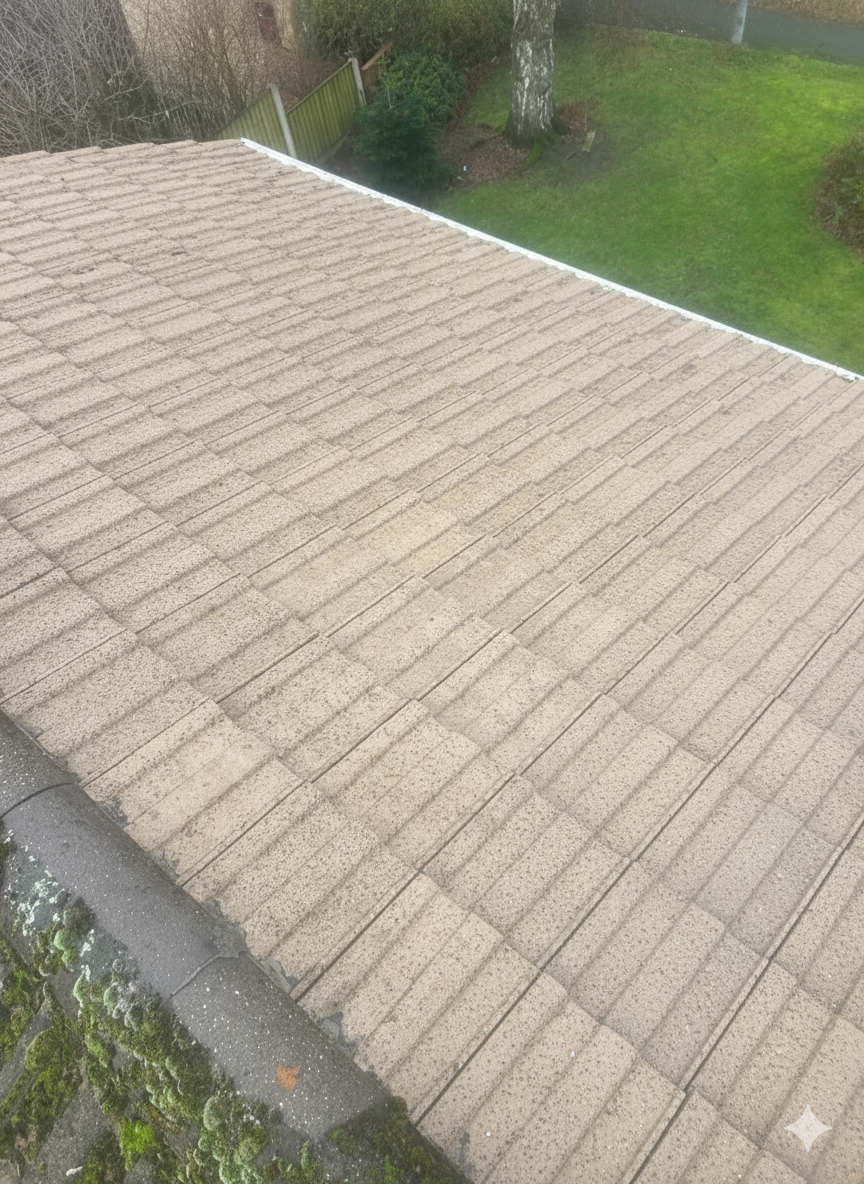 roof after professional cleaning