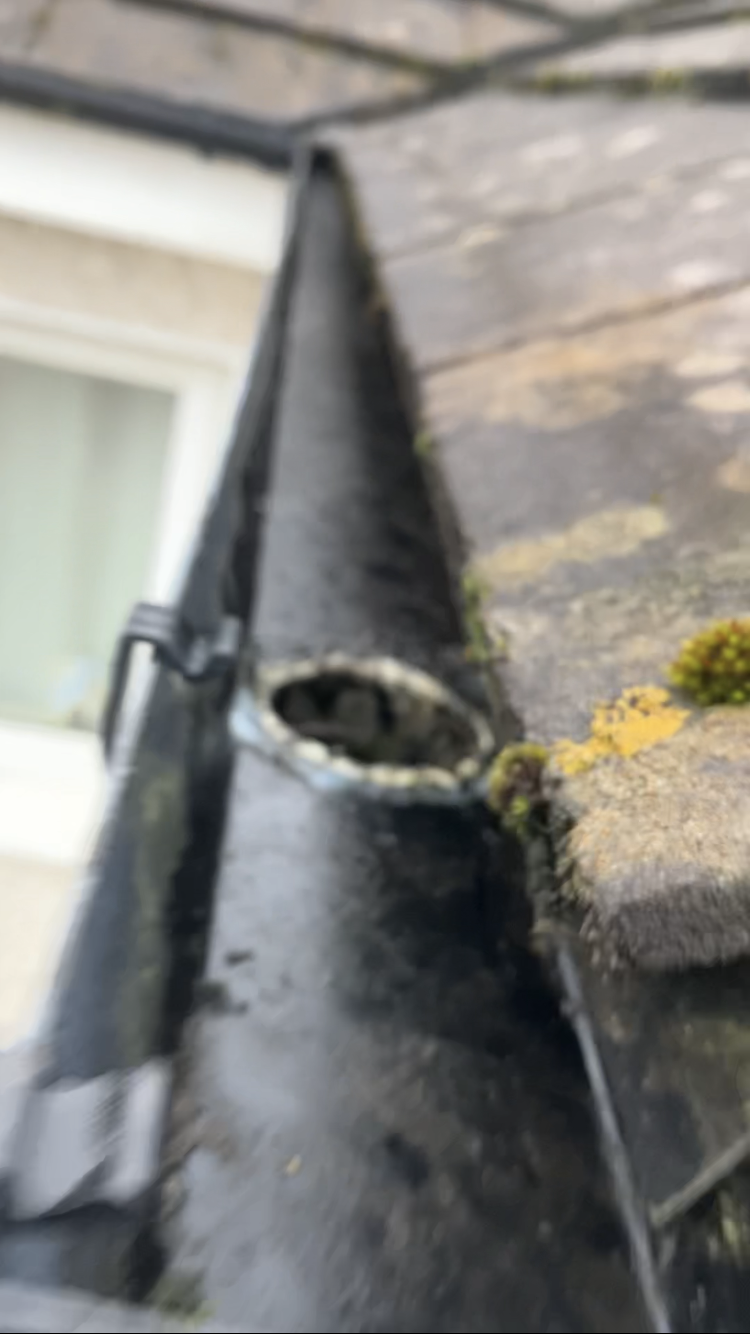 MossPro team working on a roof in Kildare